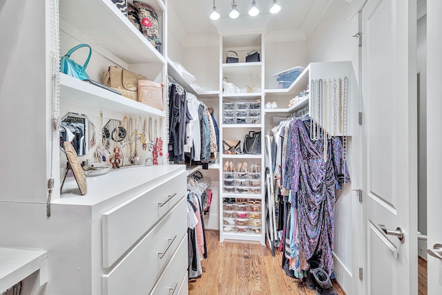 spacious closet featuring light hardwood / wood-style floors