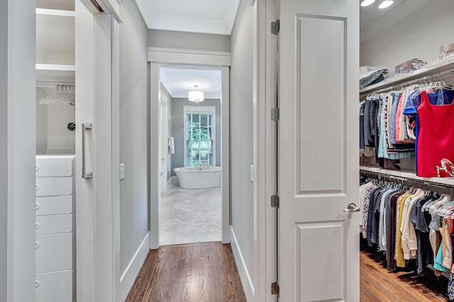 walk in closet with hardwood / wood-style floors