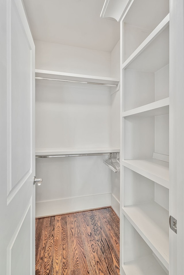 spacious closet featuring wood-type flooring