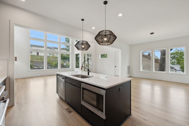 kitchen featuring sink, appliances with stainless steel finishes, light hardwood / wood-style floors, and a healthy amount of sunlight