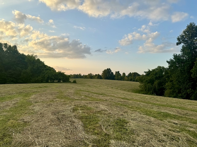 view of landscape with a rural view