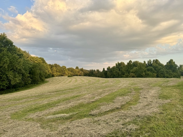 view of landscape featuring a rural view