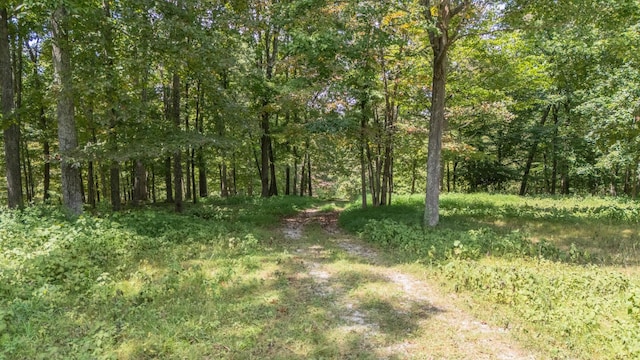2290 Fairfield Rd, Westmoreland, TN 37186 - photo 2