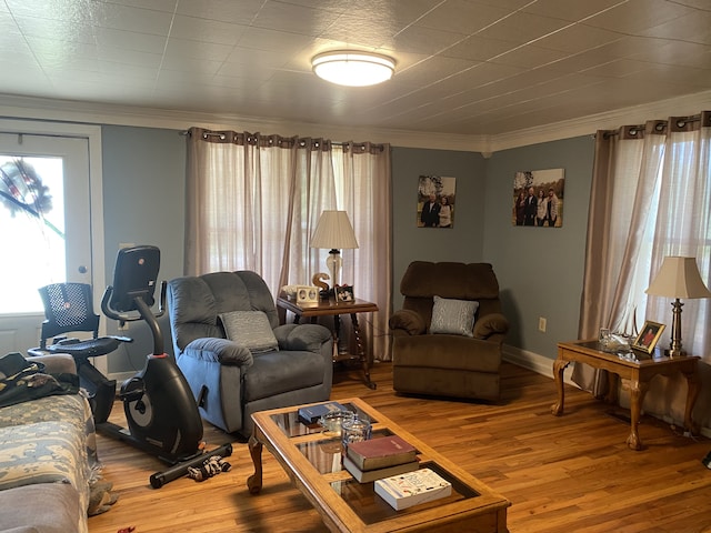 living room featuring hardwood / wood-style floors and ornamental molding