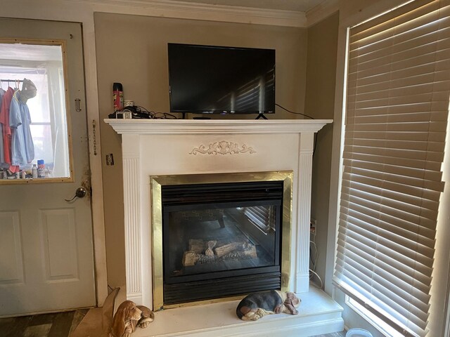 interior details featuring ornamental molding and a glass covered fireplace