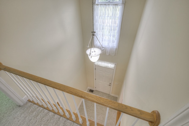 stairway featuring carpet floors