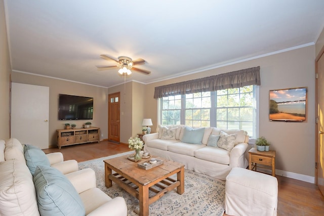 living room featuring ceiling fan, ornamental molding, and light wood-type flooring