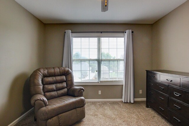 living area with light colored carpet and plenty of natural light