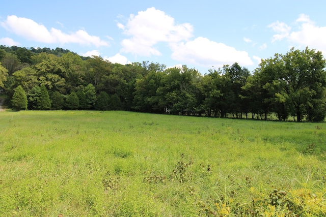 4020 Carter Branch Rd, Hartsville TN, 37074 land for sale