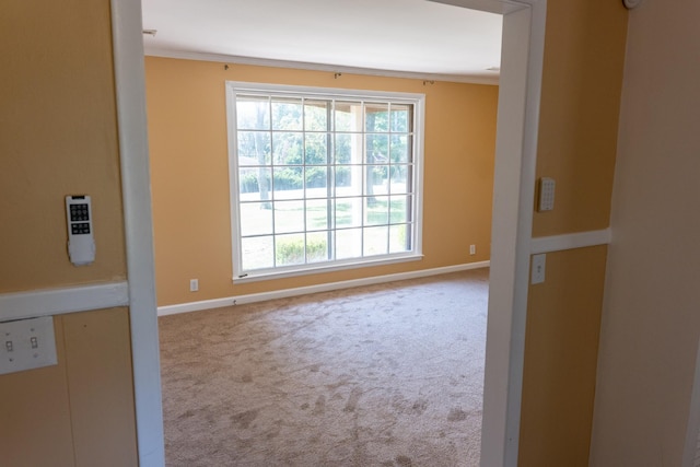 carpeted spare room with baseboards and ornamental molding