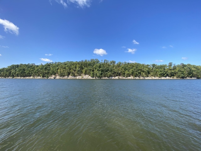 water view featuring a wooded view