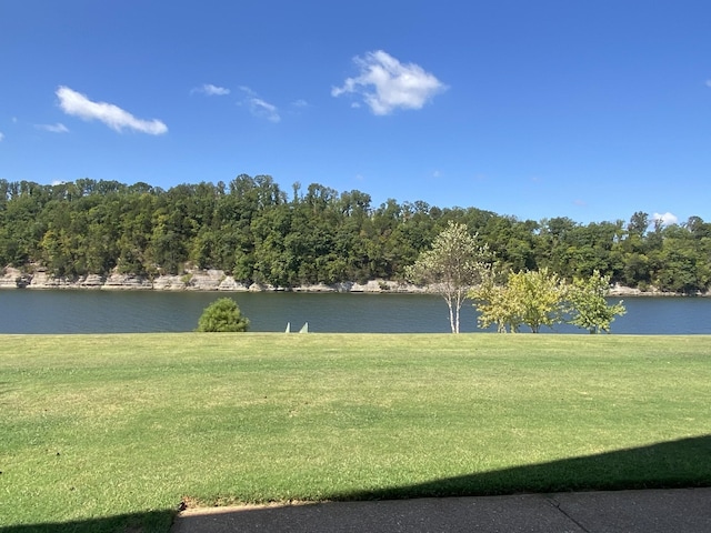 view of yard featuring a water view