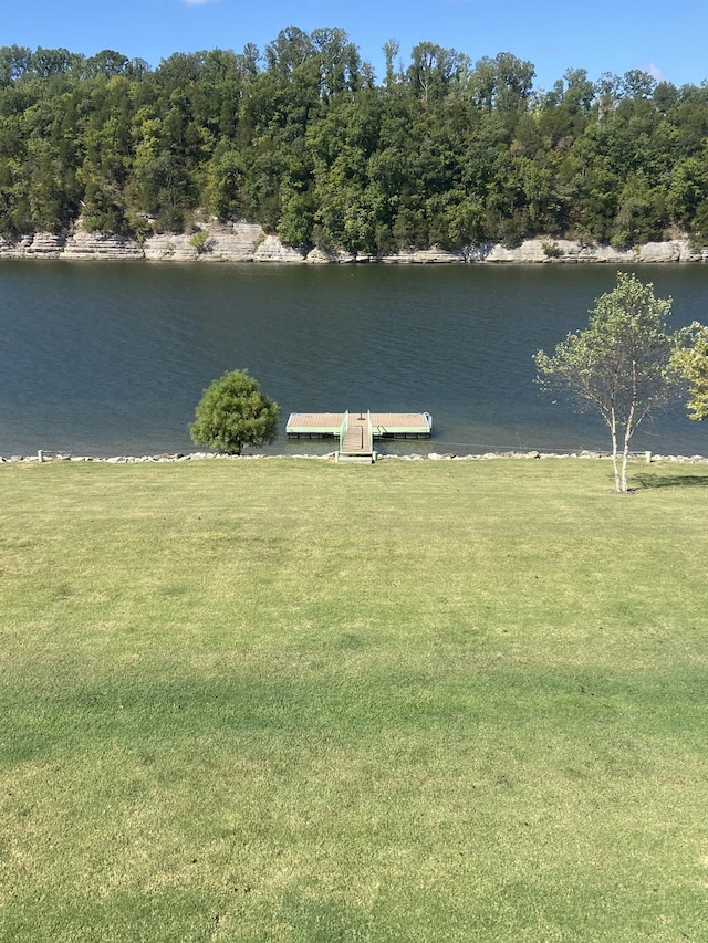 exterior space with a floating dock