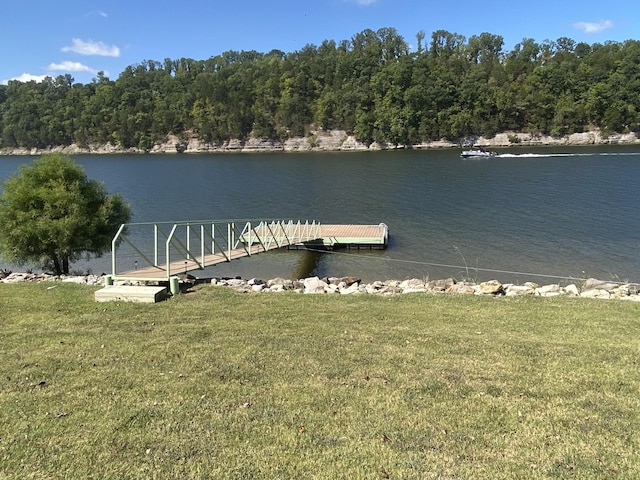 dock area featuring a water view and a lawn