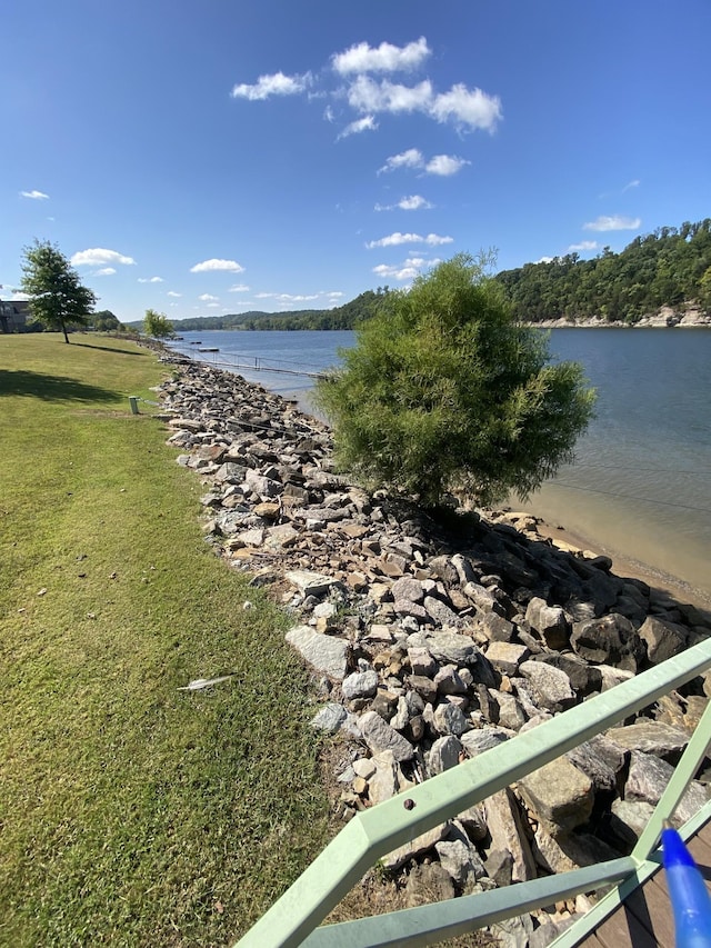 view of water feature