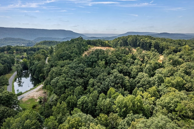 bird's eye view with a mountain view