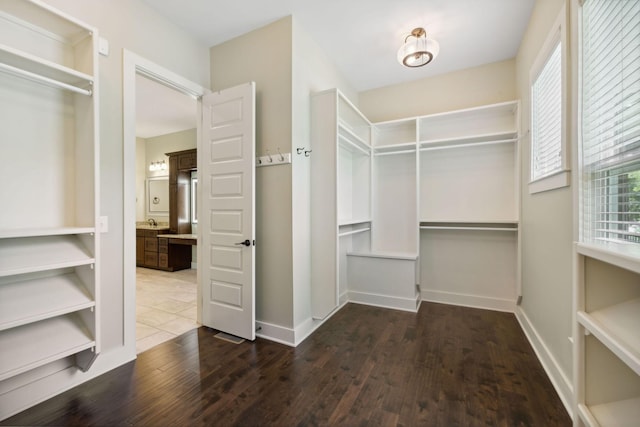 spacious closet featuring dark wood-type flooring