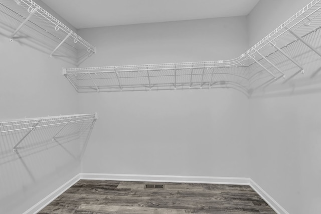 spacious closet with wood-type flooring