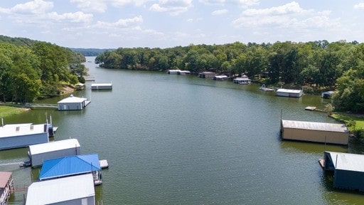 dock area with a water view