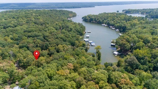 drone / aerial view with a water view