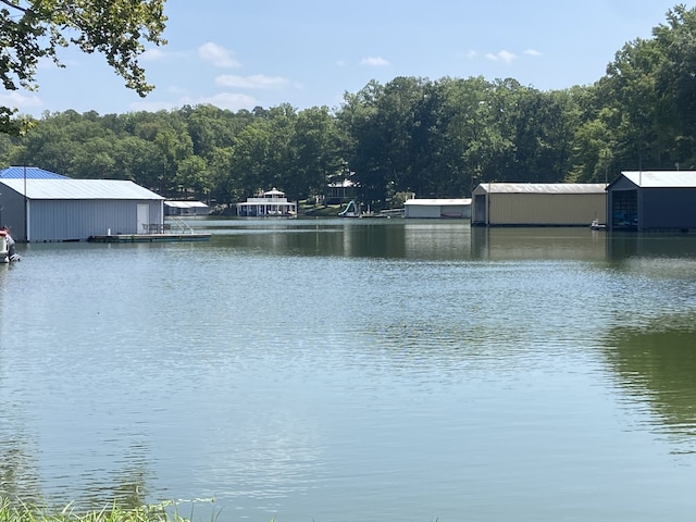 water view featuring a dock