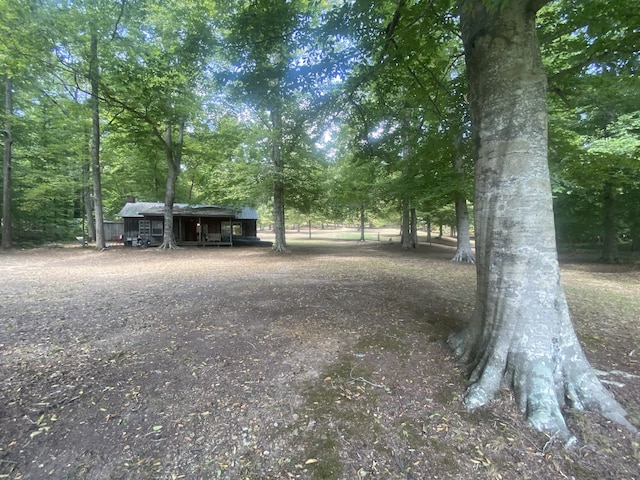 view of yard with an outdoor structure