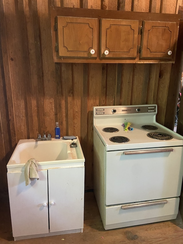 washroom with sink and wood walls