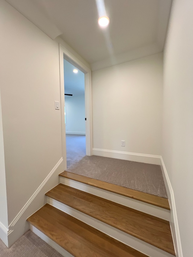 stairs featuring carpet flooring