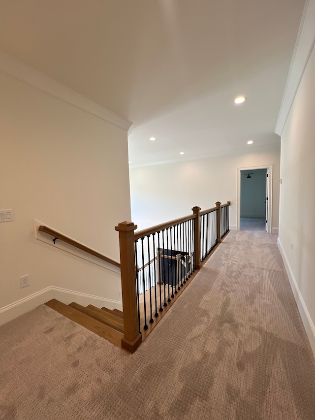 corridor with ornamental molding and carpet