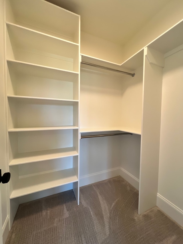 spacious closet featuring carpet floors