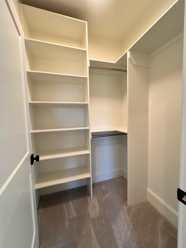 spacious closet featuring carpet floors