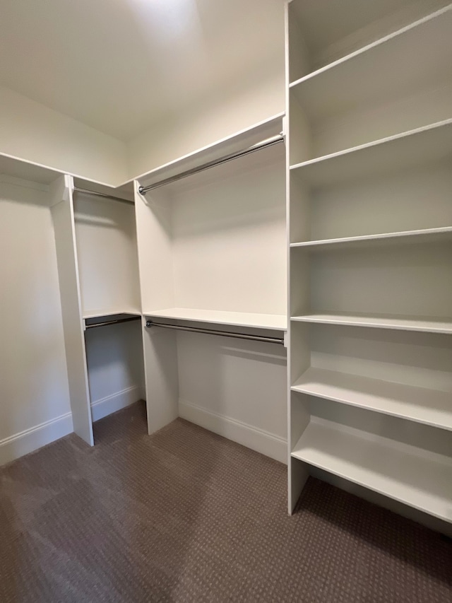 spacious closet with dark carpet