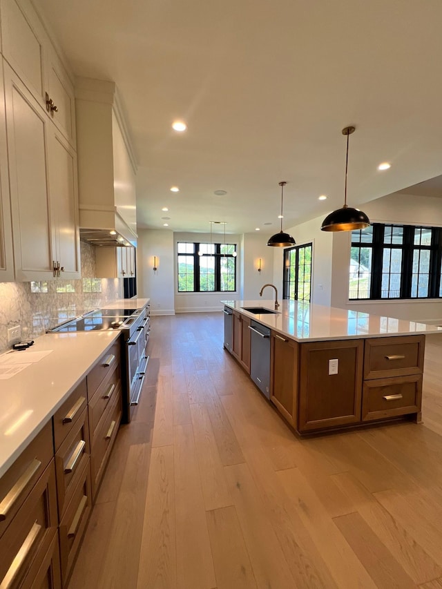 kitchen featuring backsplash, light wood-type flooring, stainless steel appliances, wall chimney exhaust hood, and a sink