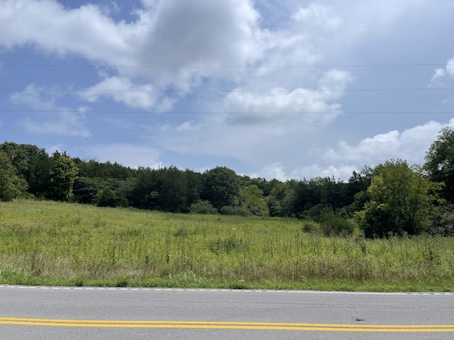 Listing photo 2 for 0 Shelbyville Hwy, Fayetteville TN 37334