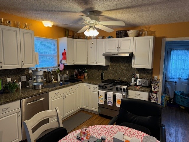 kitchen with sink, decorative backsplash, plenty of natural light, and appliances with stainless steel finishes