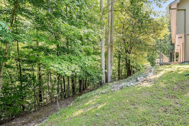 view of yard featuring a wooded view