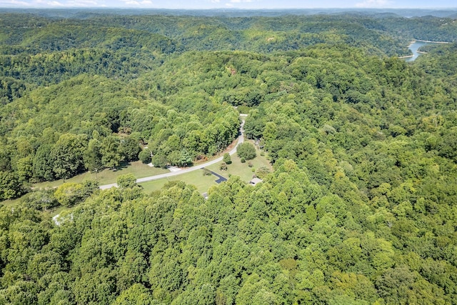 bird's eye view with a forest view