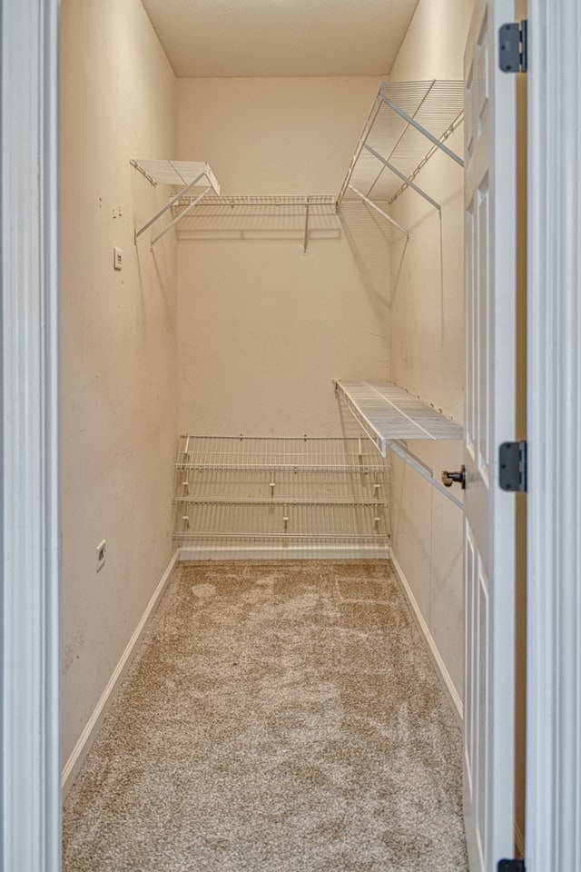 spacious closet with carpet flooring