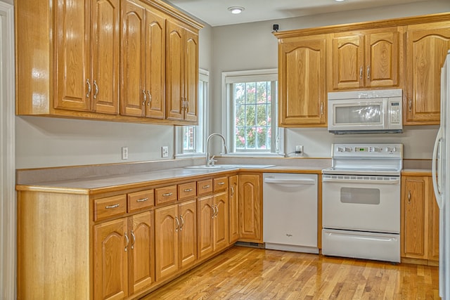 kitchen featuring white appliances, light hardwood / wood-style floors, and sink