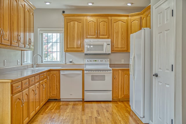 kitchen with light wood-type flooring, sink, and white appliances