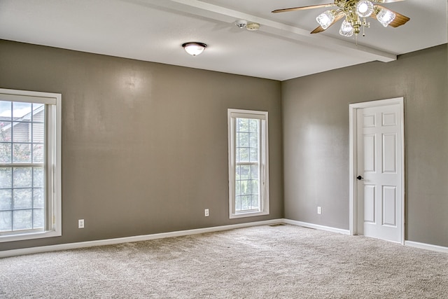 carpeted spare room with a wealth of natural light, beam ceiling, and ceiling fan