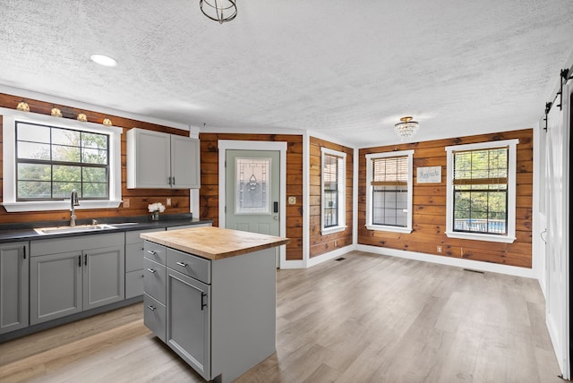 kitchen with wood walls, light hardwood / wood-style flooring, sink, and a barn door