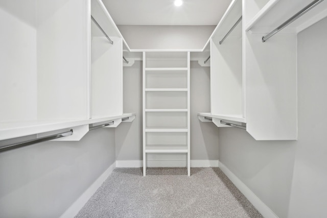 walk in closet with carpet