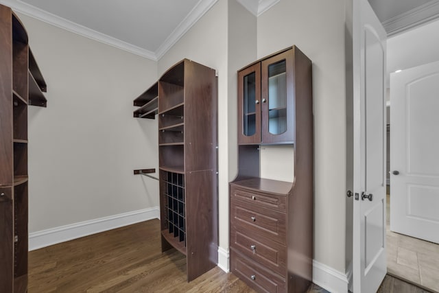 spacious closet featuring dark hardwood / wood-style floors