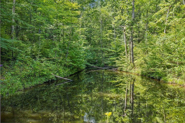 view of landscape with a water view