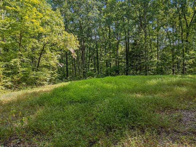 view of local wilderness