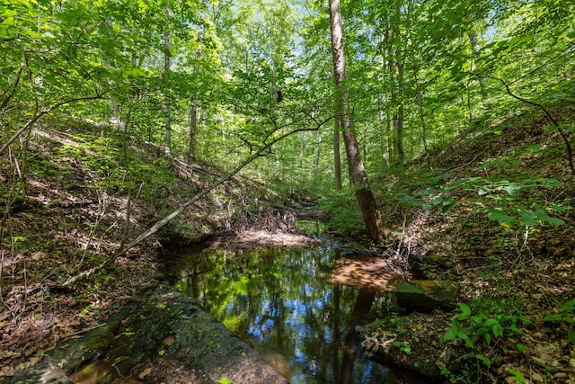 view of local wilderness with a water view