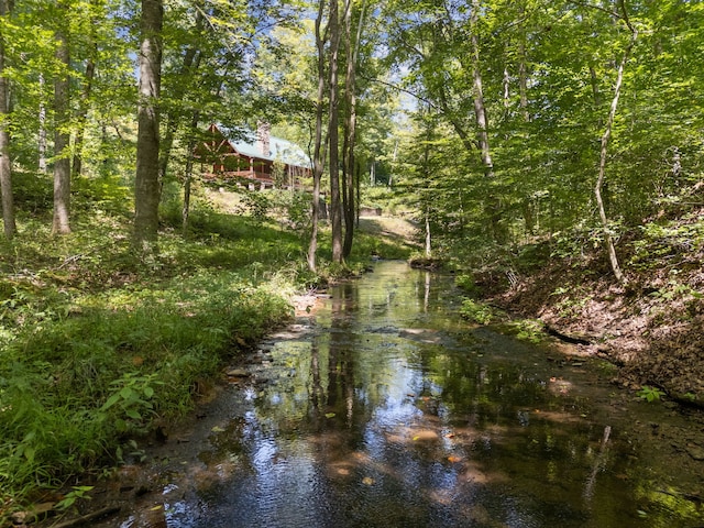 view of local wilderness with a water view