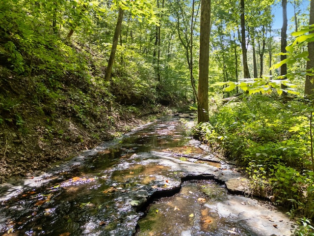 view of local wilderness with a water view