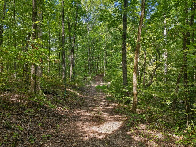 view of landscape